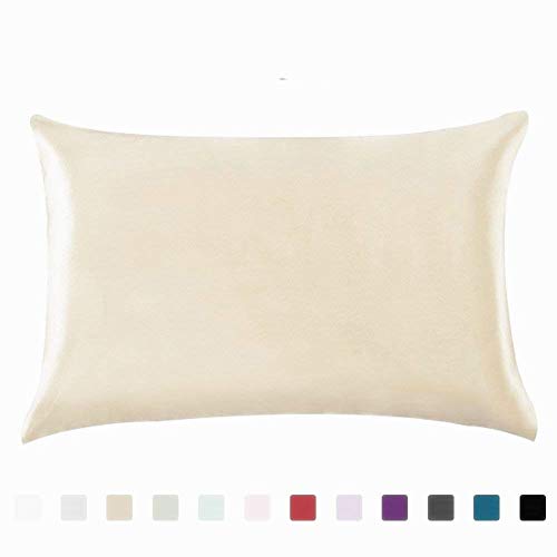 Silky Satin Hair Beauty Pillow Case